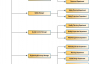 Organization Chart ctti